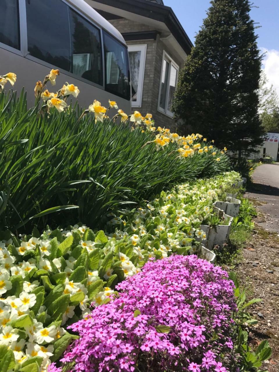 Hotel Community House Tyrolien Hakuba Esterno foto
